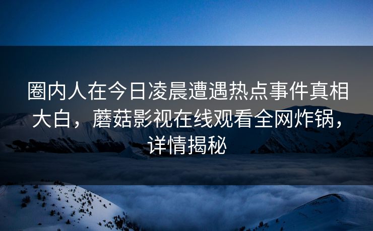 圈内人在今日凌晨遭遇热点事件真相大白，蘑菇影视在线观看全网炸锅，详情揭秘