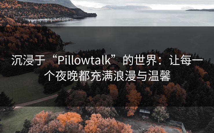 沉浸于“Pillowtalk”的世界:让每一个夜晚都充满浪漫与温馨